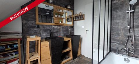 photo no. 12