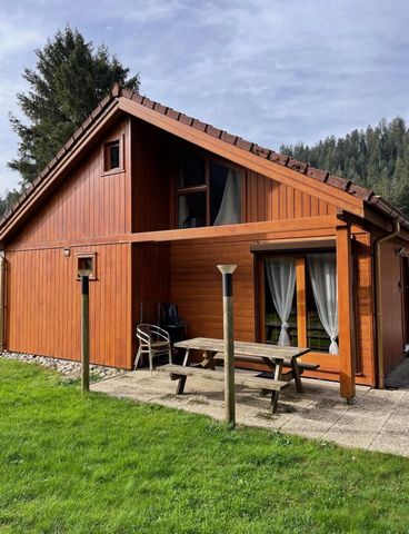 Gérardmer : Demi Chalet en duplex