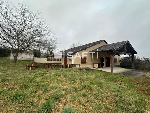 photo no. 3