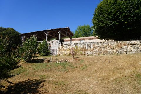 photo no. 9