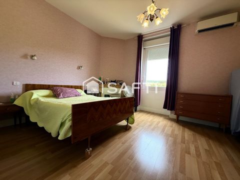 photo no. 10
