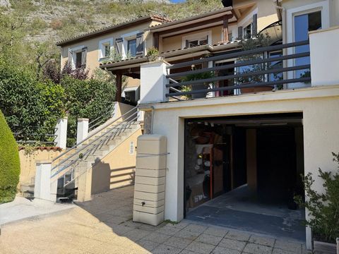 photo no. 11