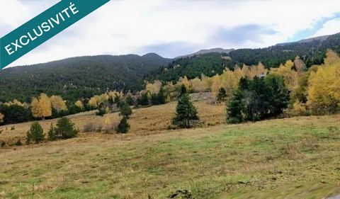 Terrain 4 faces libre de constructeur avec vue