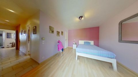 photo no. 14