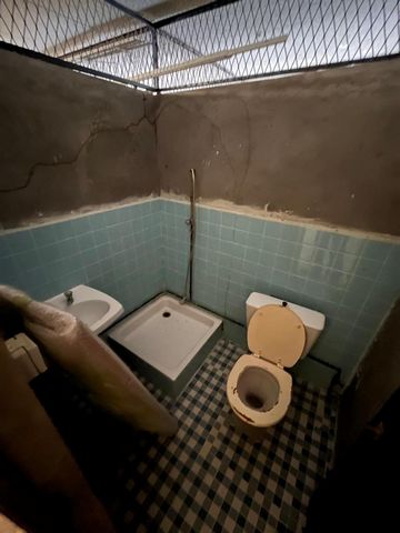 photo no. 3