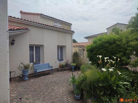photo no. 18