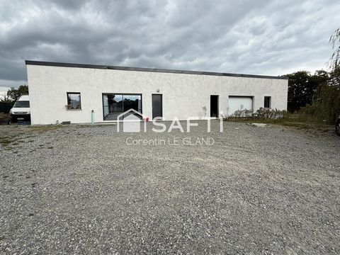 photo no. 9