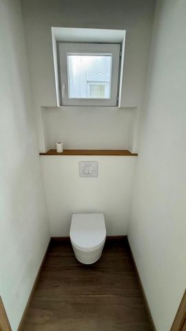 photo no. 7