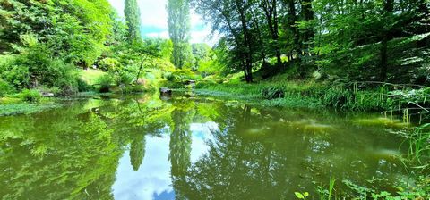 photo no. 17