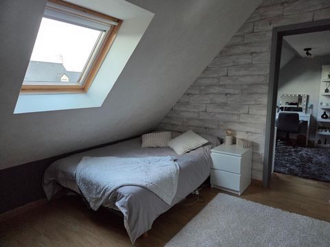 photo no. 8
