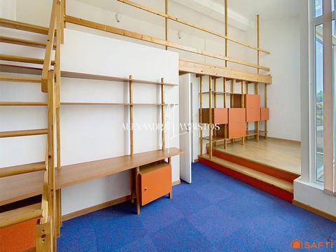 photo no. 7