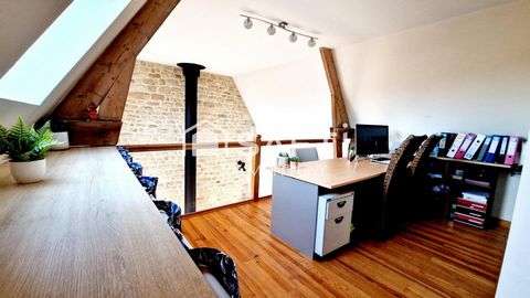 photo no. 12