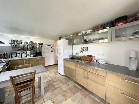 photo no. 19