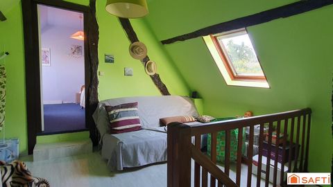photo no. 11