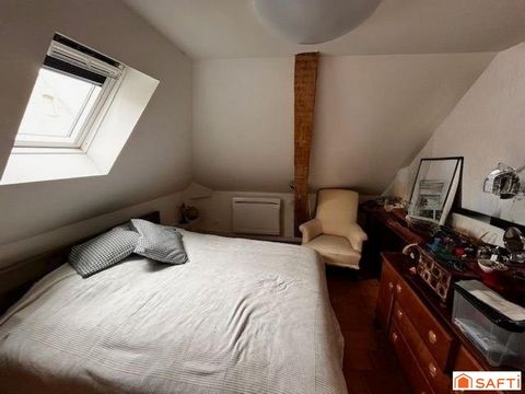 photo no. 11