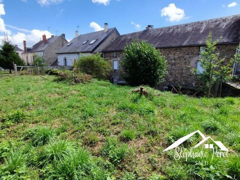 photo no. 11