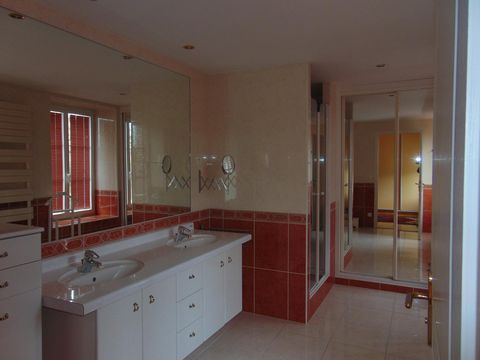 photo no. 8