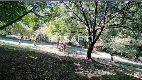 photo no. 18