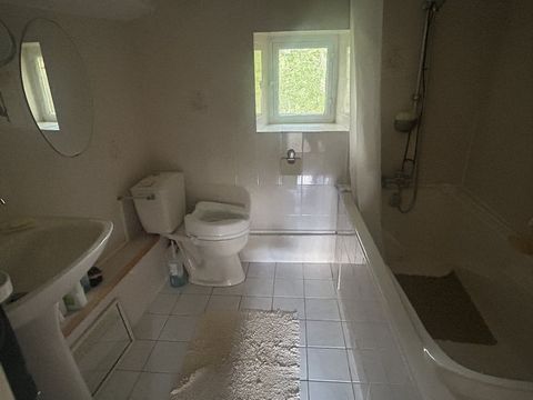 photo no. 12