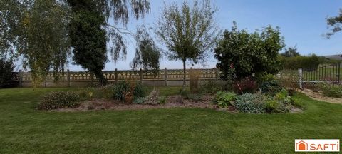 photo no. 10