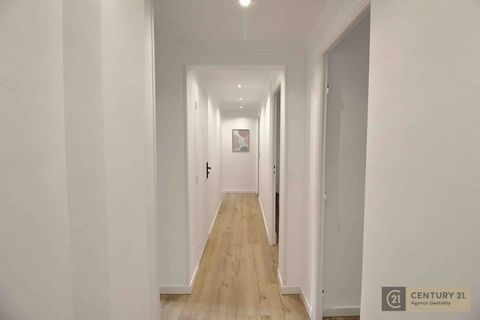 photo no. 4