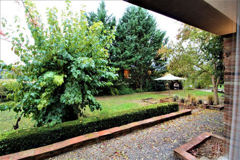 photo no. 3