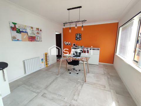 photo no. 13