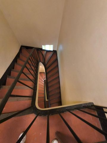 photo no. 8