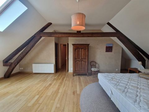 photo no. 11
