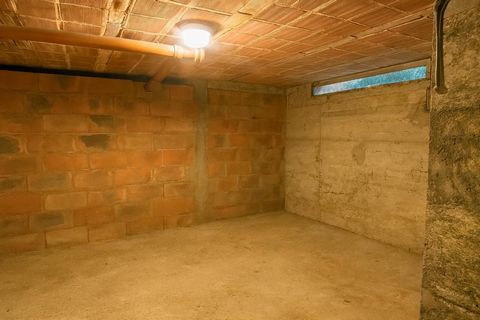 photo no. 8