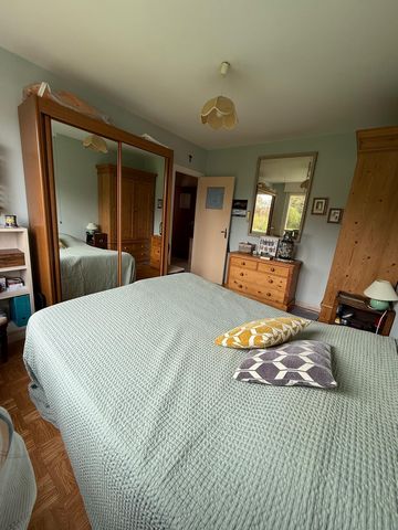 photo no. 8