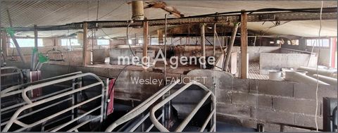photo no. 13