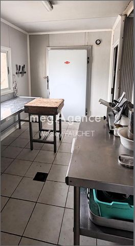 photo no. 14