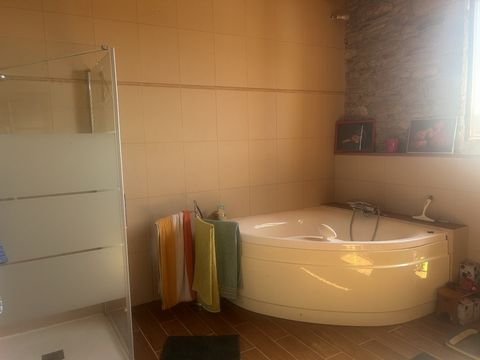 photo no. 10