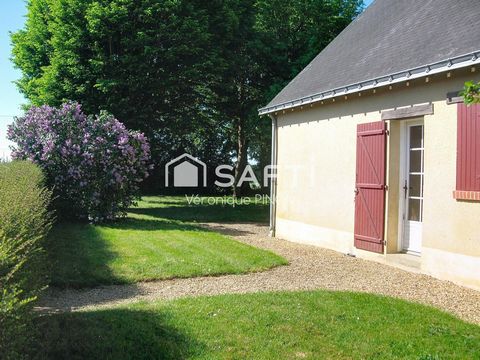 photo no. 10