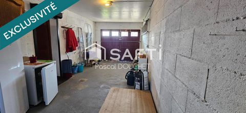 photo no. 9