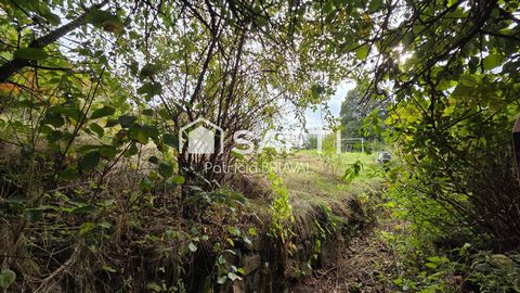 photo no. 14