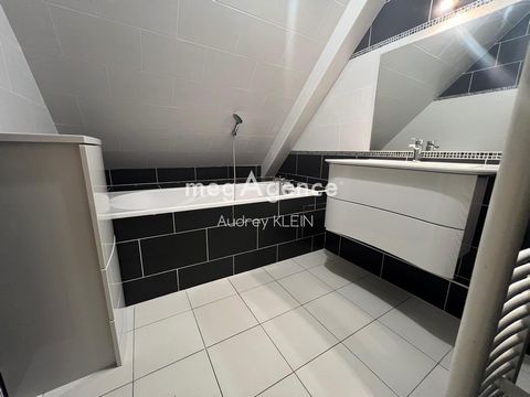 photo no. 11