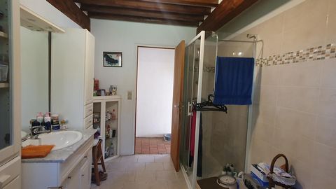 photo no. 13