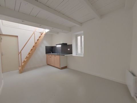 photo no. 11