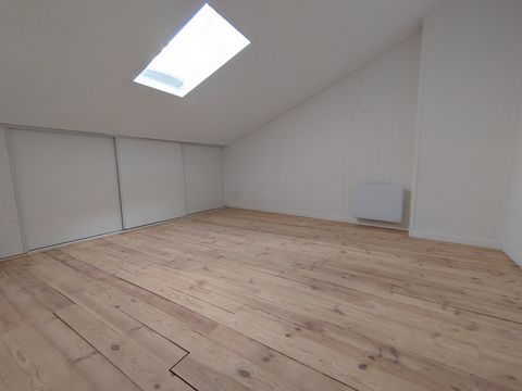 photo no. 18