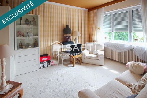 photo no. 15