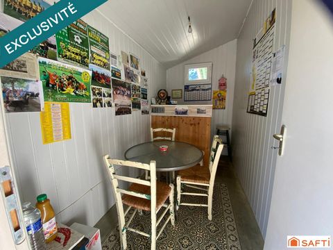 photo no. 11