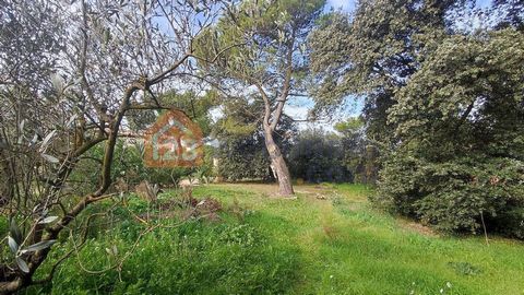 photo no. 16
