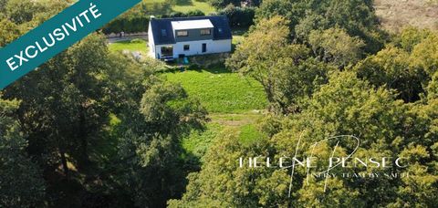 Maison 4 chambres, avec vie de plain-pied sur terrain de 3 622 m².
