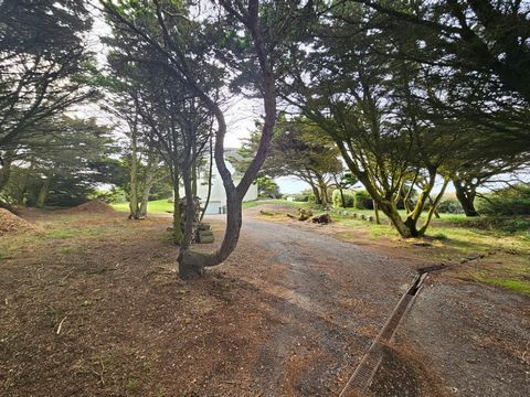 photo no. 19