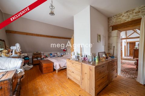 photo no. 6
