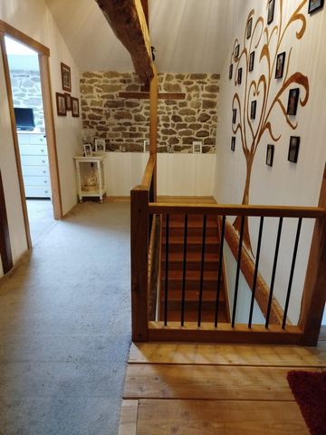 photo no. 12