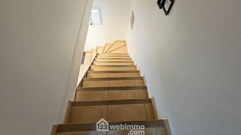 photo no. 11