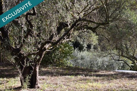 Terrain à bâtir de 702m² - Pignans